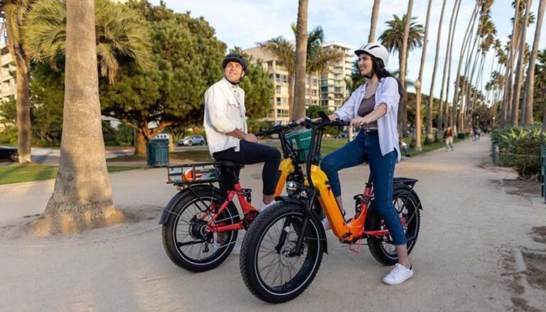 Ebikes