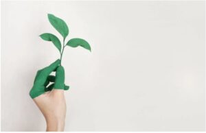 Top Eco-Friendly Promo Items for Australian Businesses in 2025 