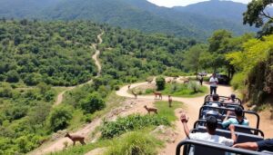 Girnar Nature Safari