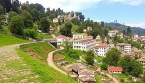 Triangle Tour with Shimla