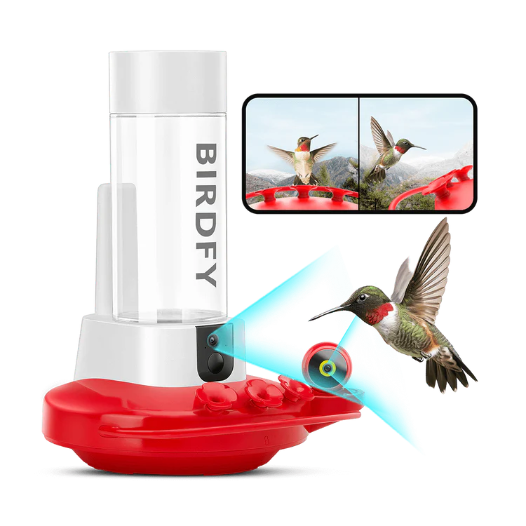 Birdfy
