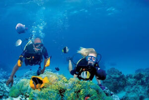 Best Scuba Diving in Fiji