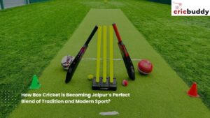 How Box Cricket is Becoming Jaipur’s Perfect