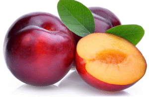 Plum Fruit